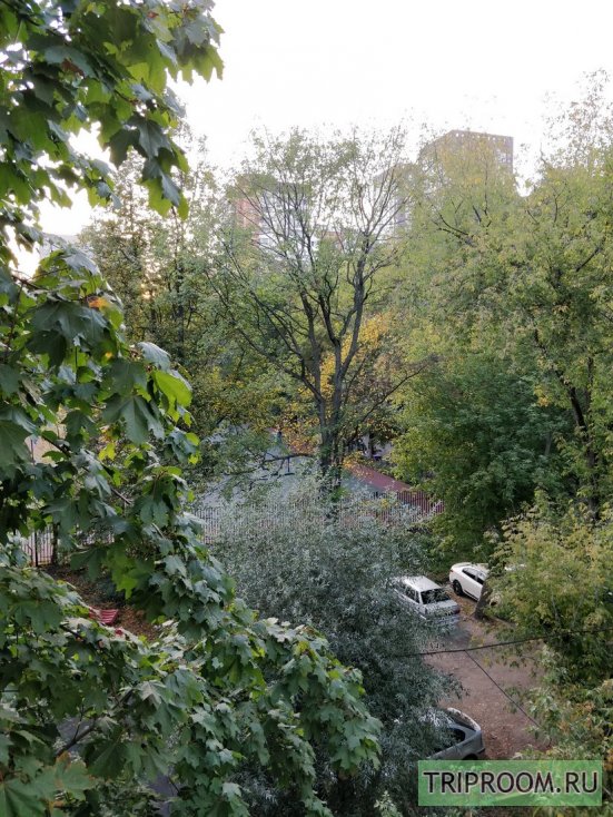2-комнатная квартира посуточно (вариант № 66587), ул. 7-я парковая, фото № 11